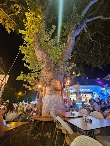 Yorum fotoğrafı 4