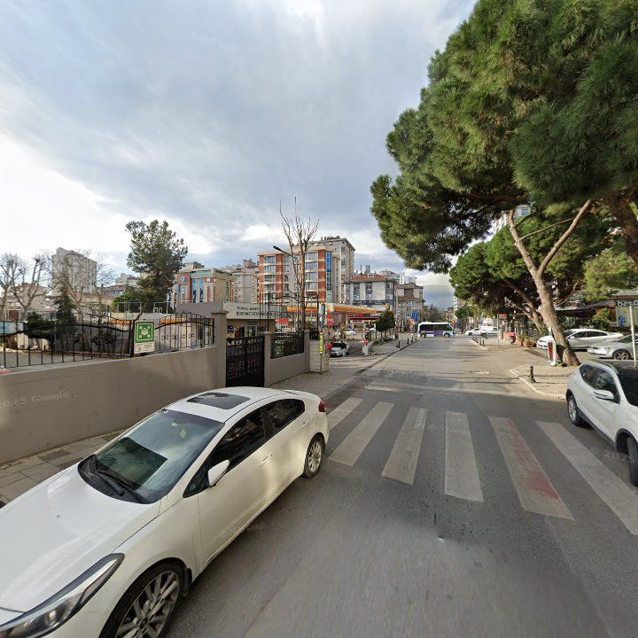 Fotoğraf 14