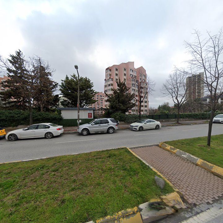 Fotoğraf 17