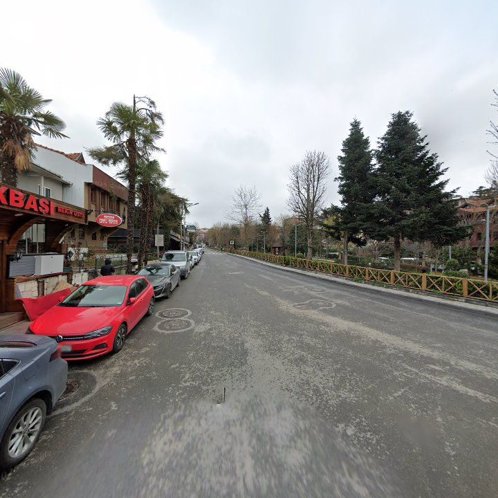 Fotoğraf 12