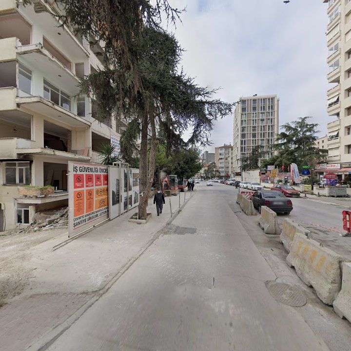 Fotoğraf 8