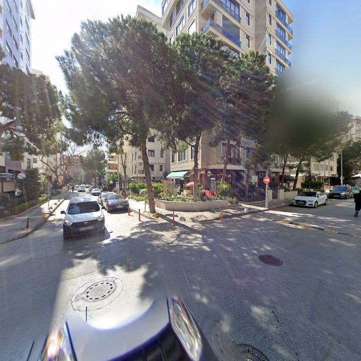 Fotoğraf 11