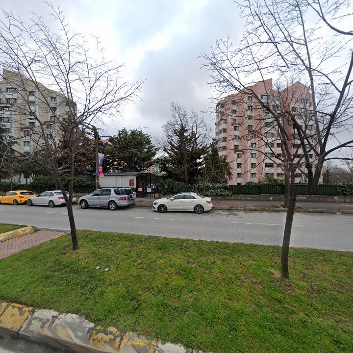 Fotoğraf 10