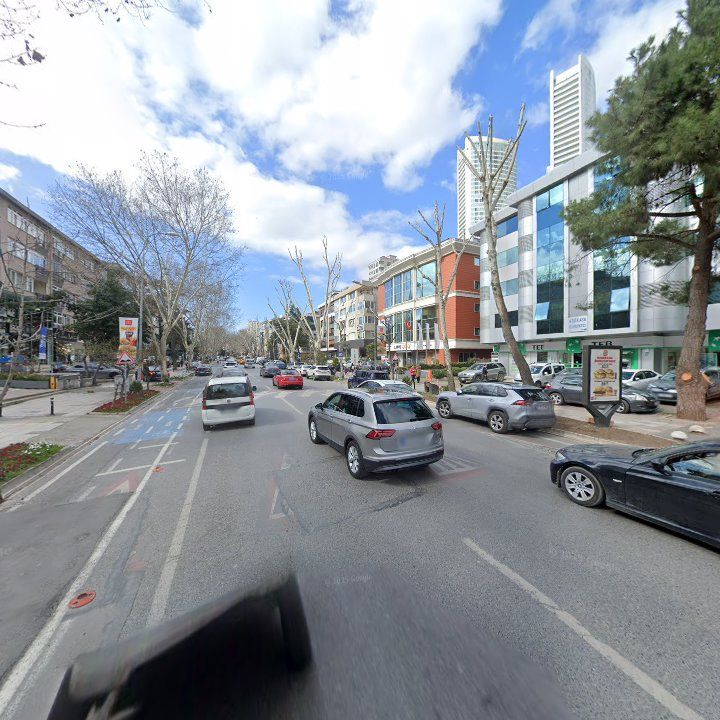 Fotoğraf 12