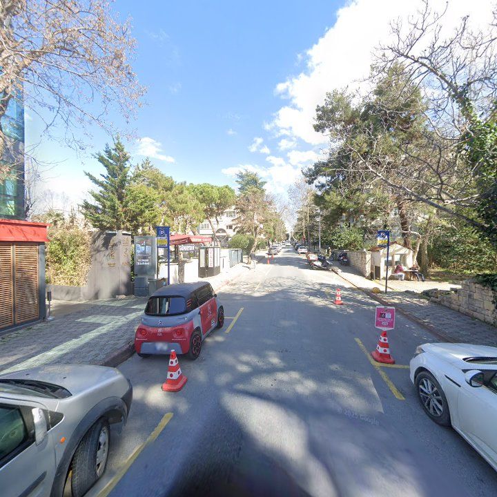 Fotoğraf 16