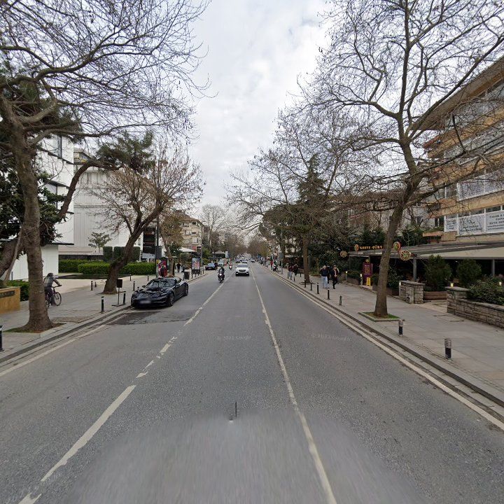 Fotoğraf 12