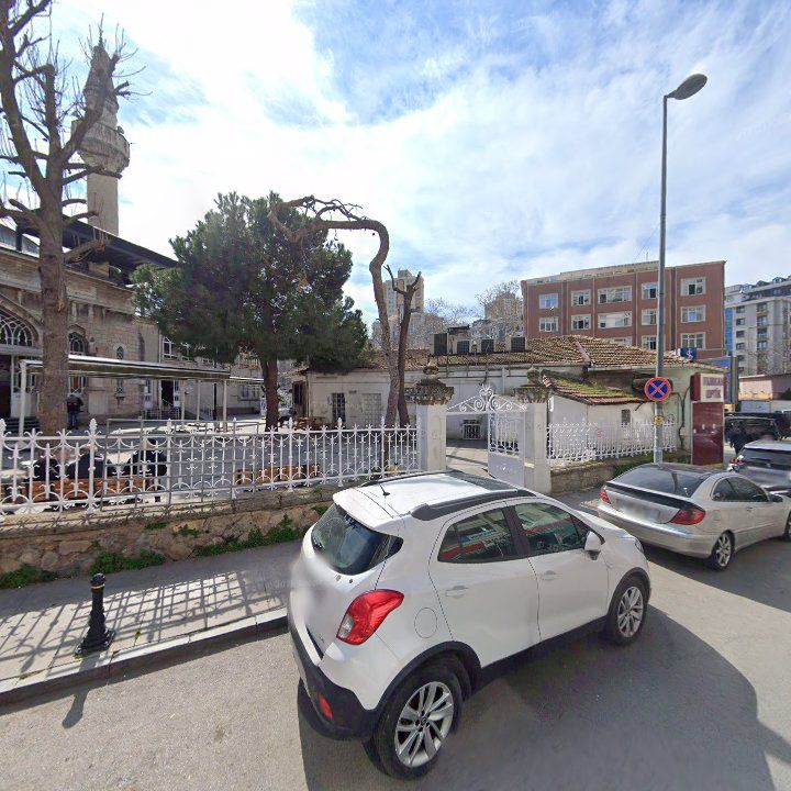 Fotoğraf 7