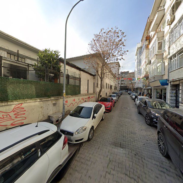 Fotoğraf 12