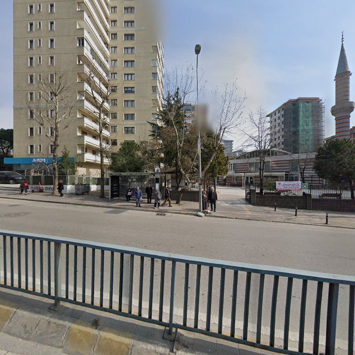 Fotoğraf 10
