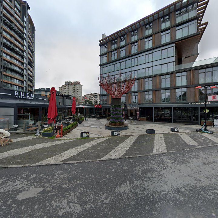 Fotoğraf 11