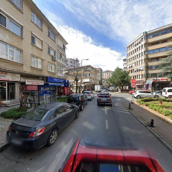 Fotoğraf 12