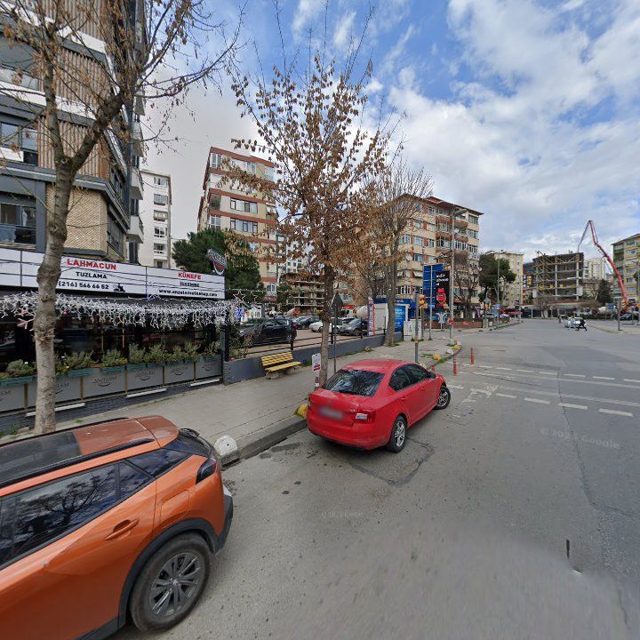 Fotoğraf 16