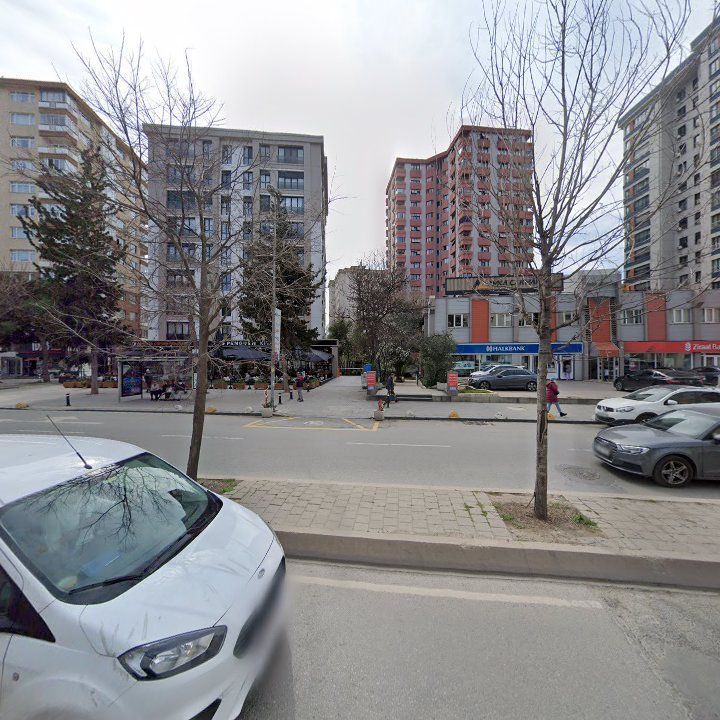 Fotoğraf 7