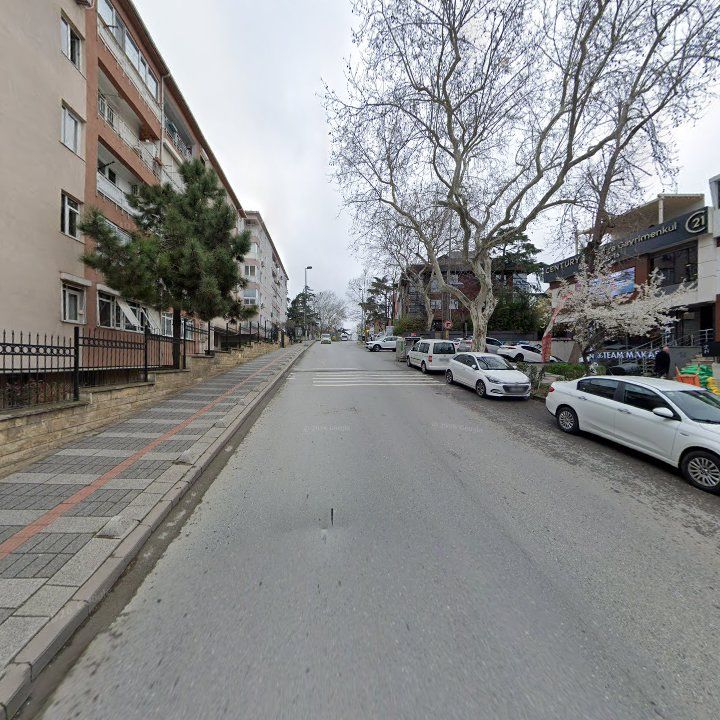 Fotoğraf 11