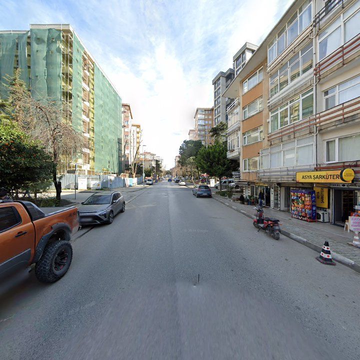 Fotoğraf 11