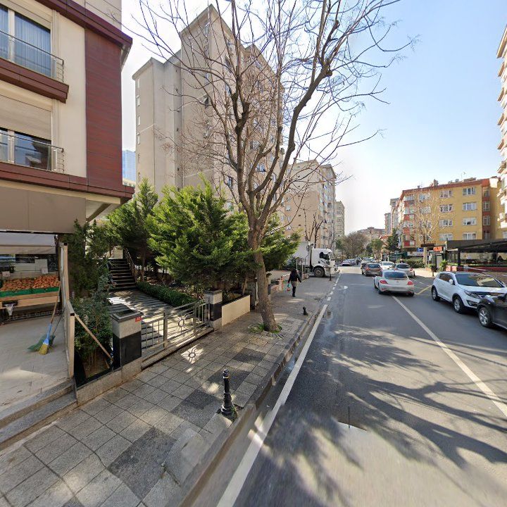 Fotoğraf 12