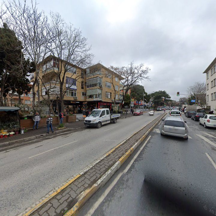 Fotoğraf 15