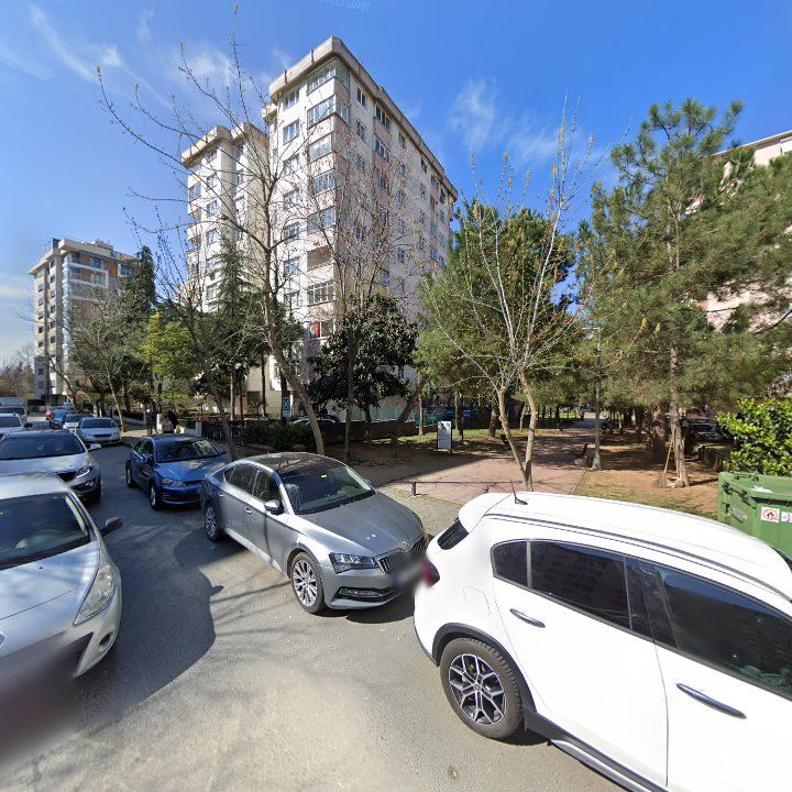Fotoğraf 12