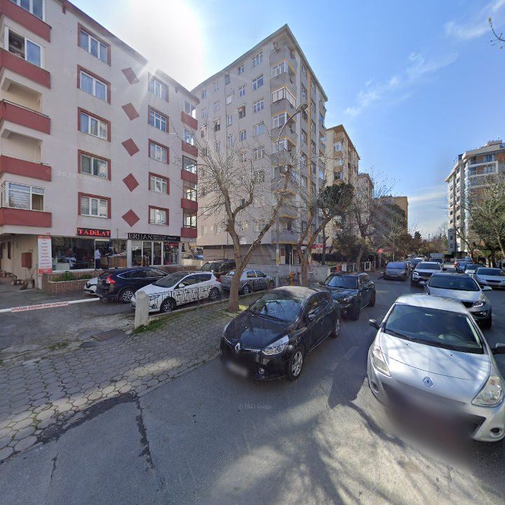 Fotoğraf 11