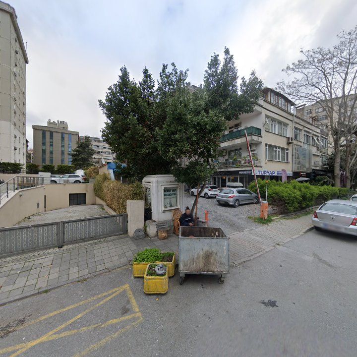 Fotoğraf 13