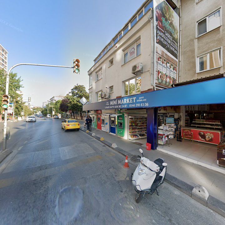 Fotoğraf 11