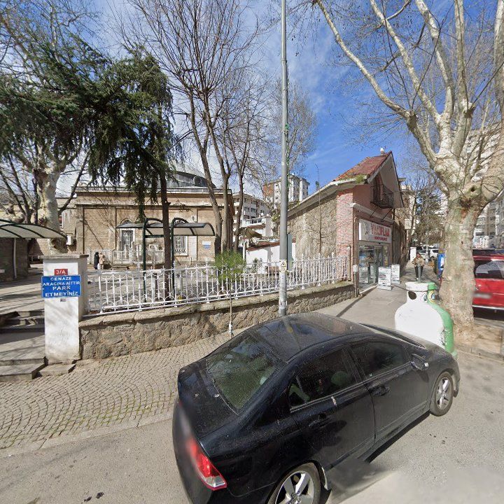 Fotoğraf 10