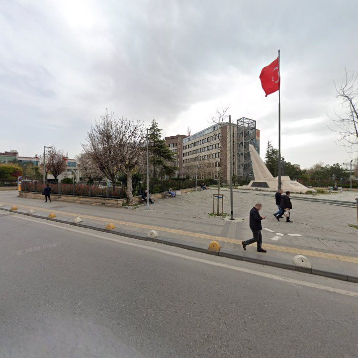Fotoğraf 8
