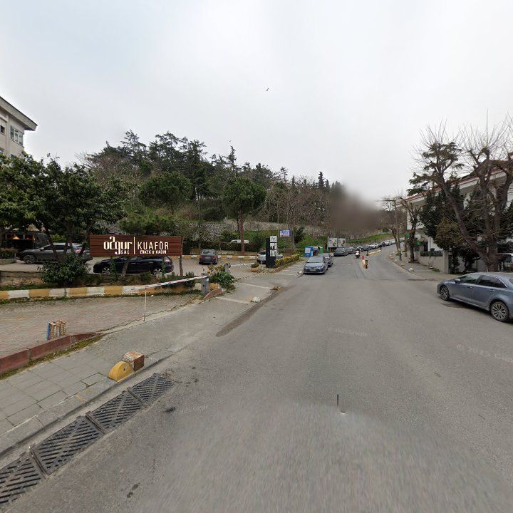 Fotoğraf 14