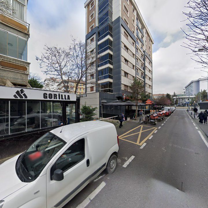 Fotoğraf 8