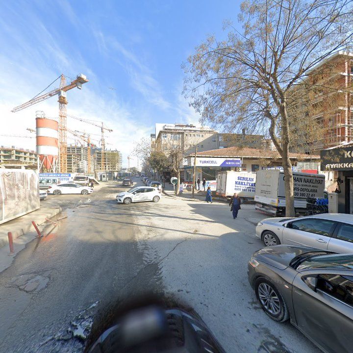Fotoğraf 8