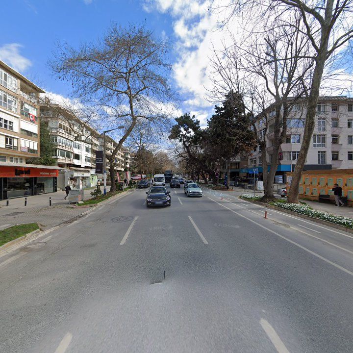 Fotoğraf 13
