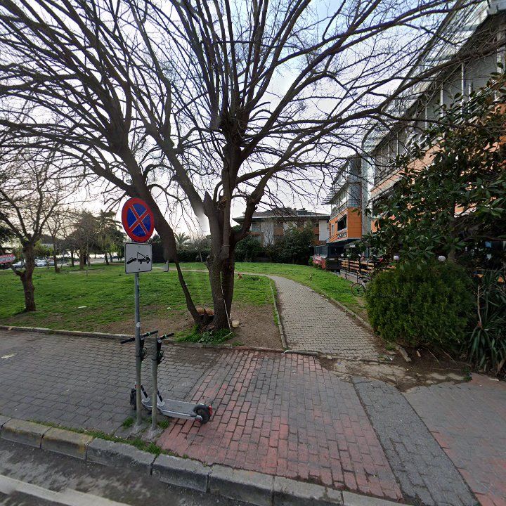 Fotoğraf 10