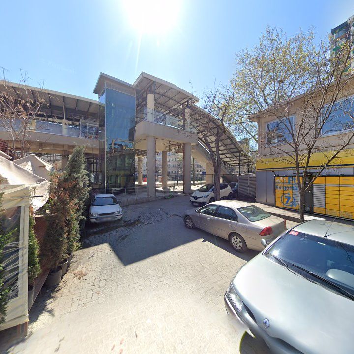 Fotoğraf 11
