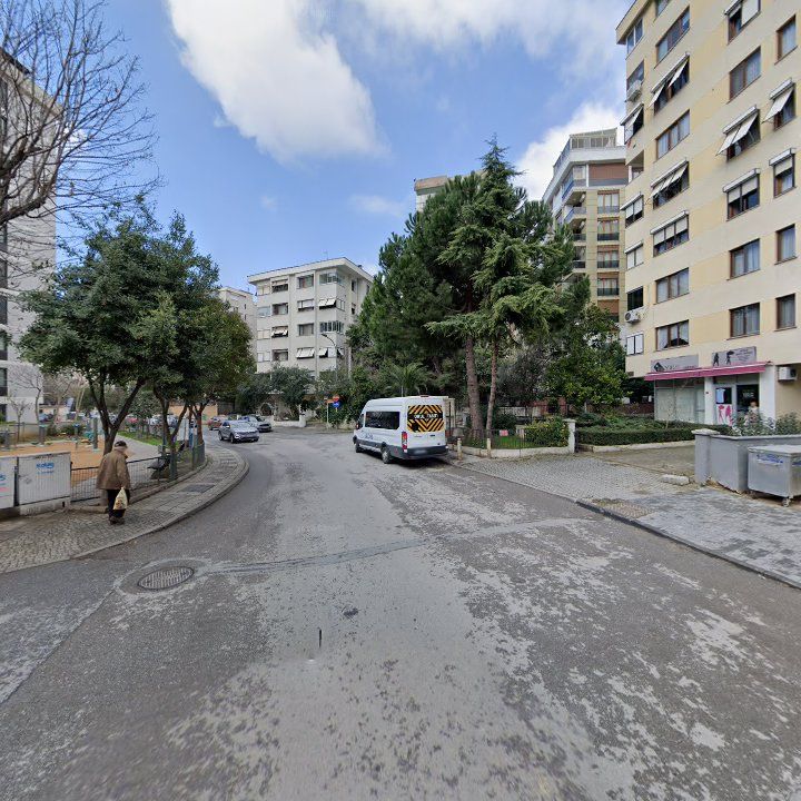 Fotoğraf 12