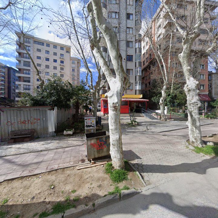 Fotoğraf 10