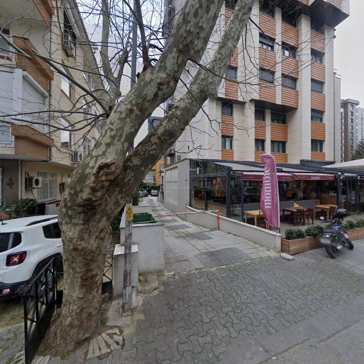 Fotoğraf 8