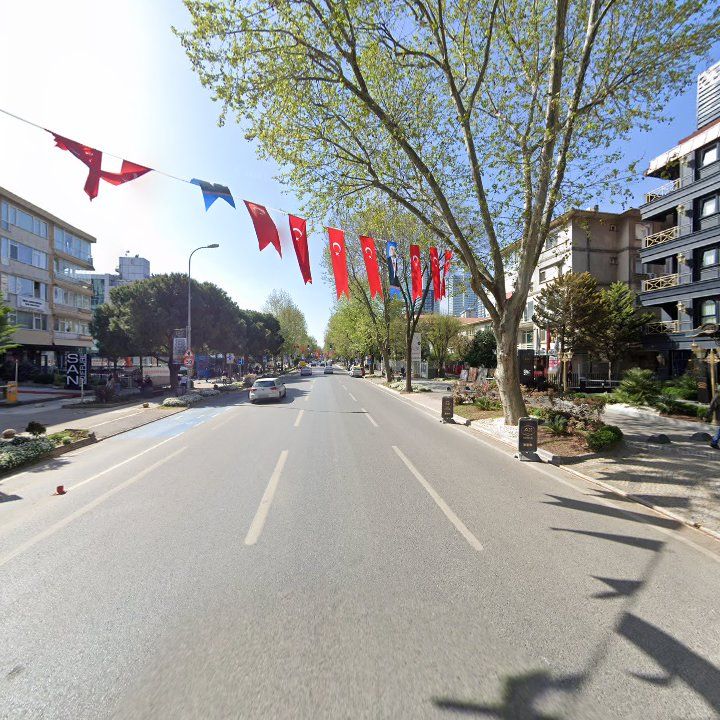 Fotoğraf 13