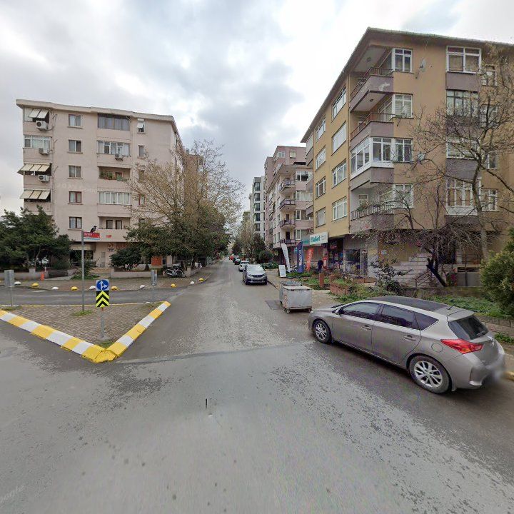 Fotoğraf 13