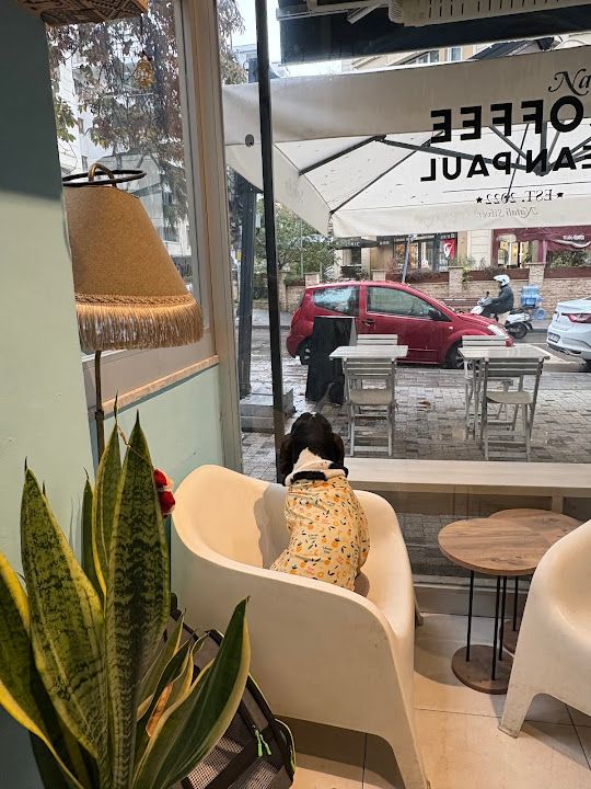 Coffee Jean Paul