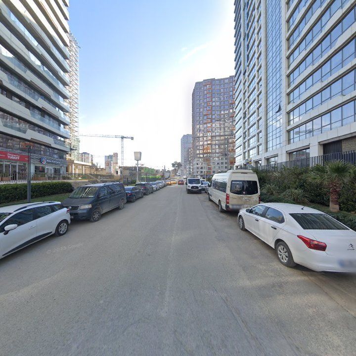Fotoğraf 11