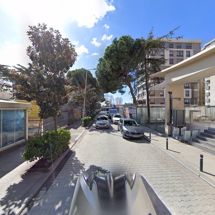 Fotoğraf 11