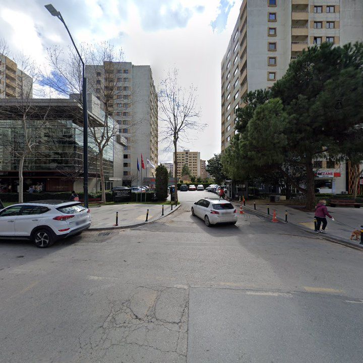 Fotoğraf 11