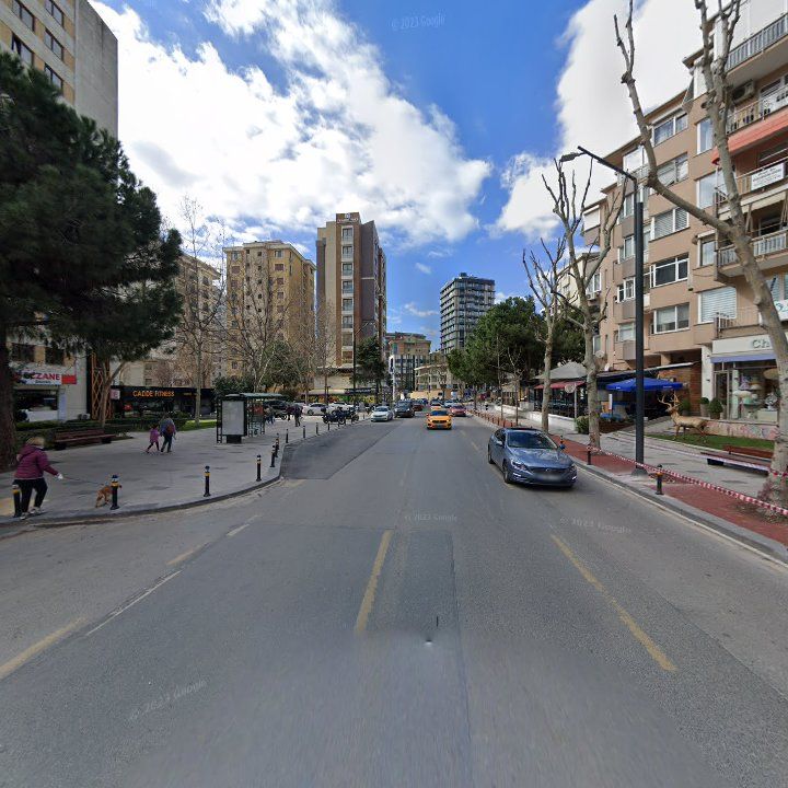 Fotoğraf 12
