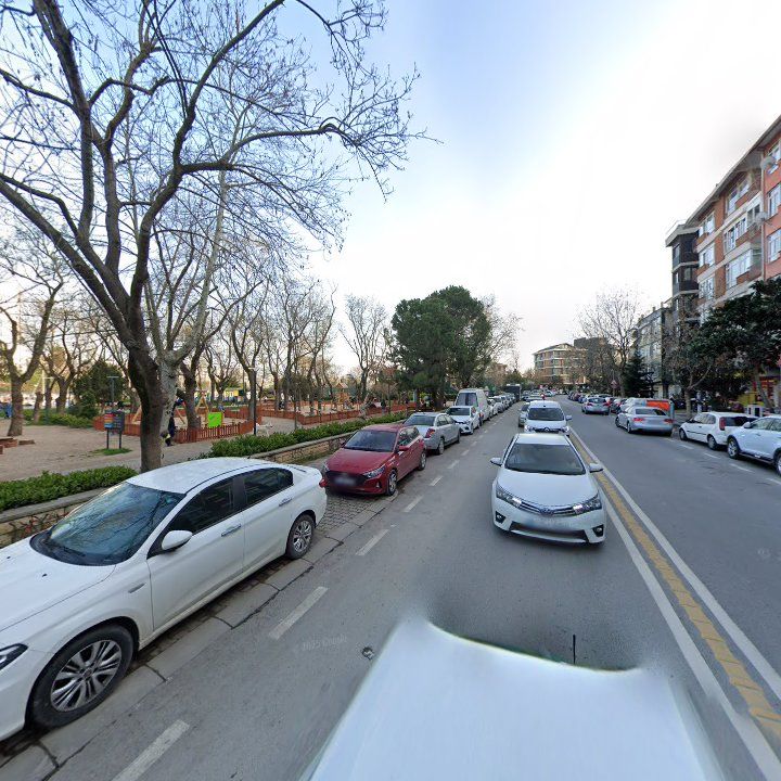 Fotoğraf 9