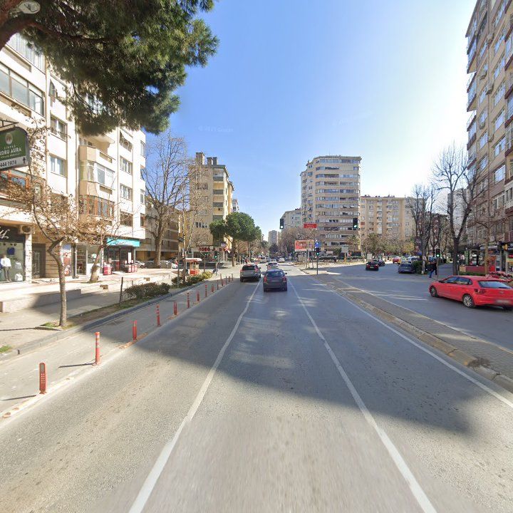 Fotoğraf 12