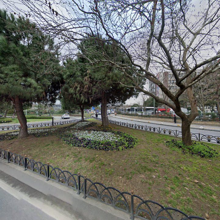 Fotoğraf 10