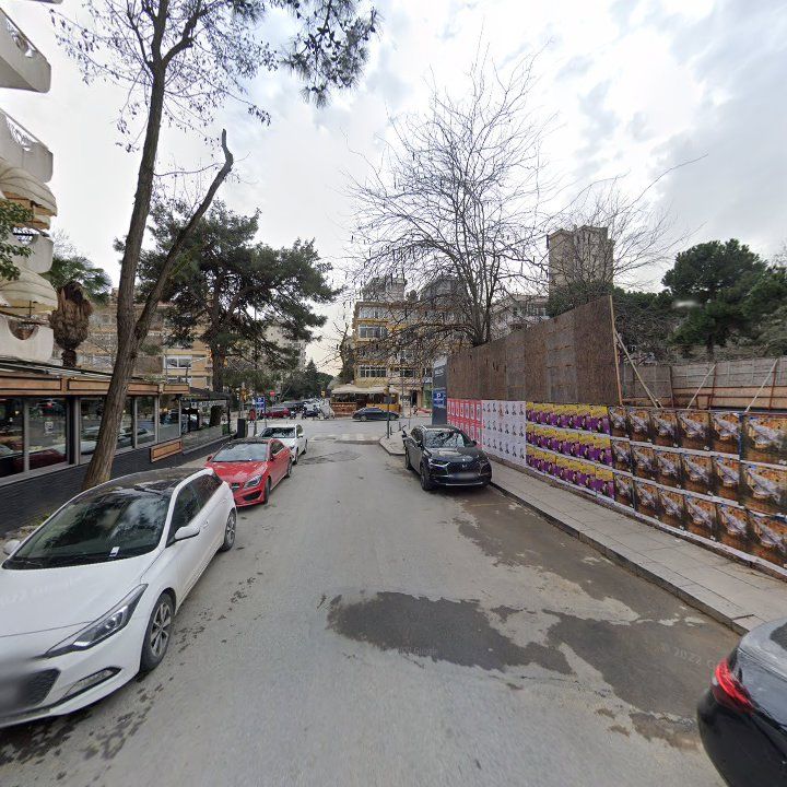 Fotoğraf 13
