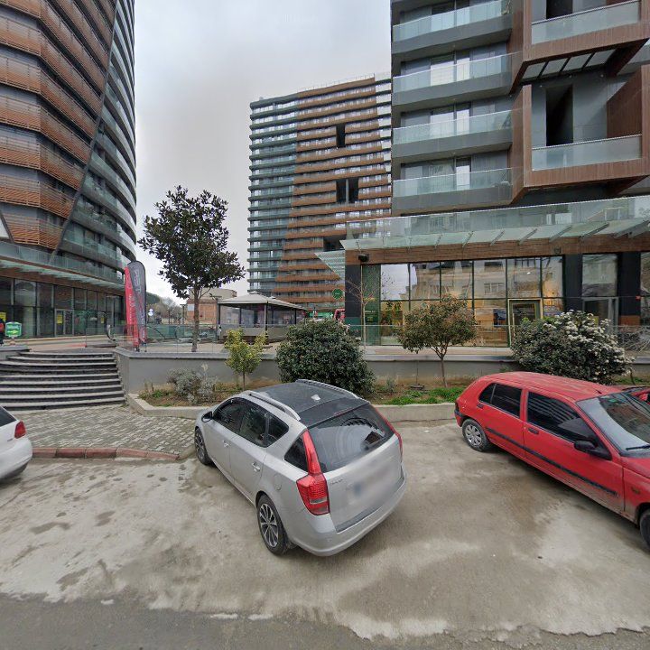 Fotoğraf 11