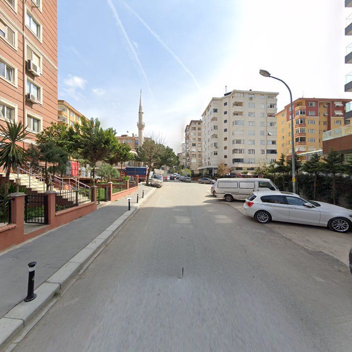Fotoğraf 10