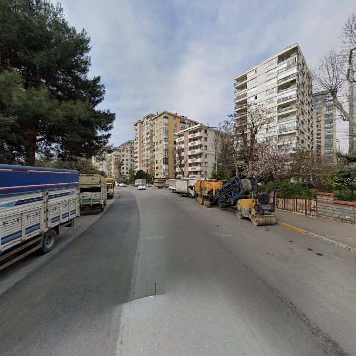 Fotoğraf 13